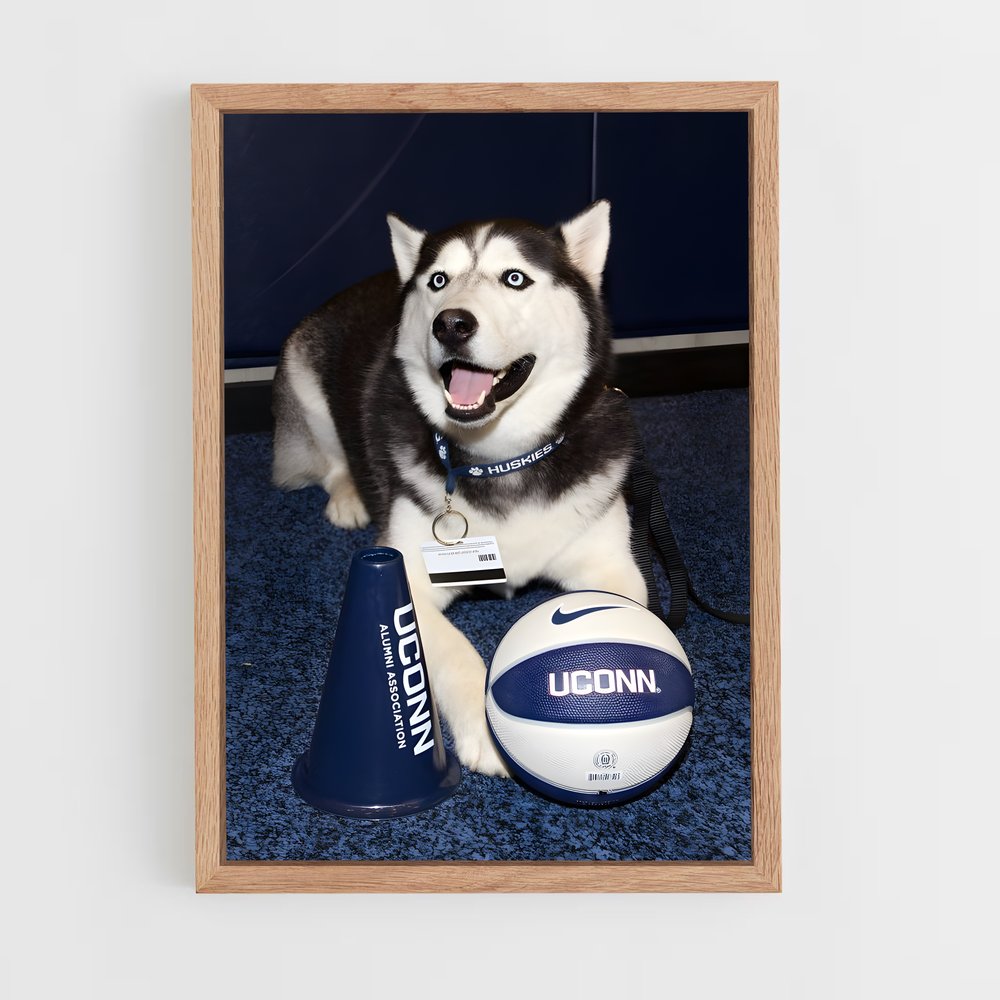 Poster Husky Touchdown – affiche Basketball (vue 4)